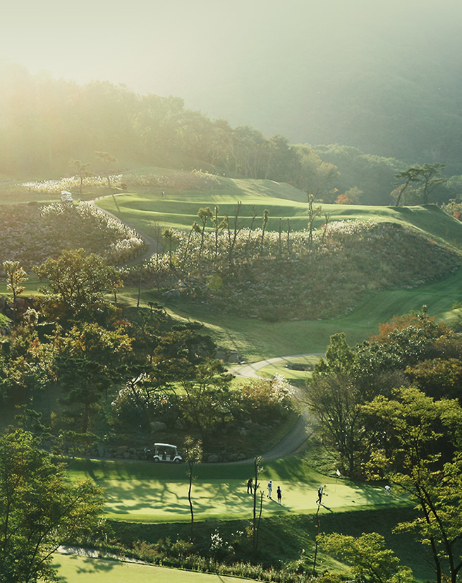 Black Stone Belle Foret Belle Foret Site Release — Web 구축 | 피벗 크리에이티브 포트폴리오