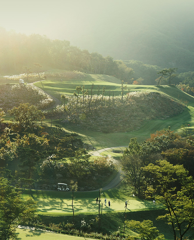 Black Stone Belle Foret Belle Foret Site Release — Web 구축 | 피벗 크리에이티브 포트폴리오